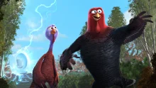 Zohj te lire Free Birds