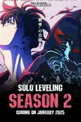 Solo Leveling Arise from the Shadow